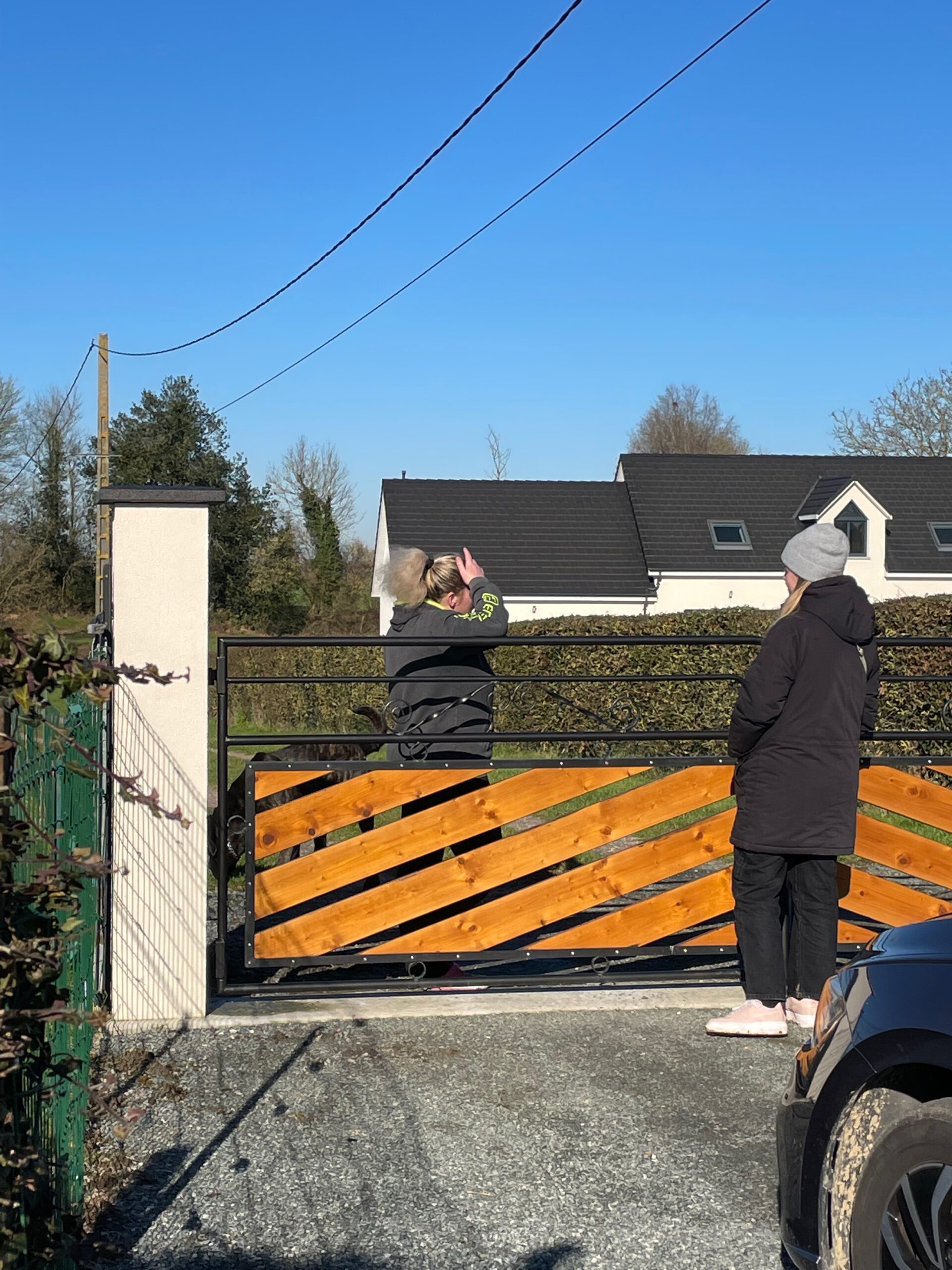 MicrosoftTeams-image (171)